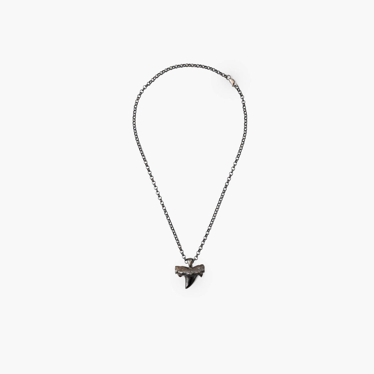 Shark Tooth Necklace