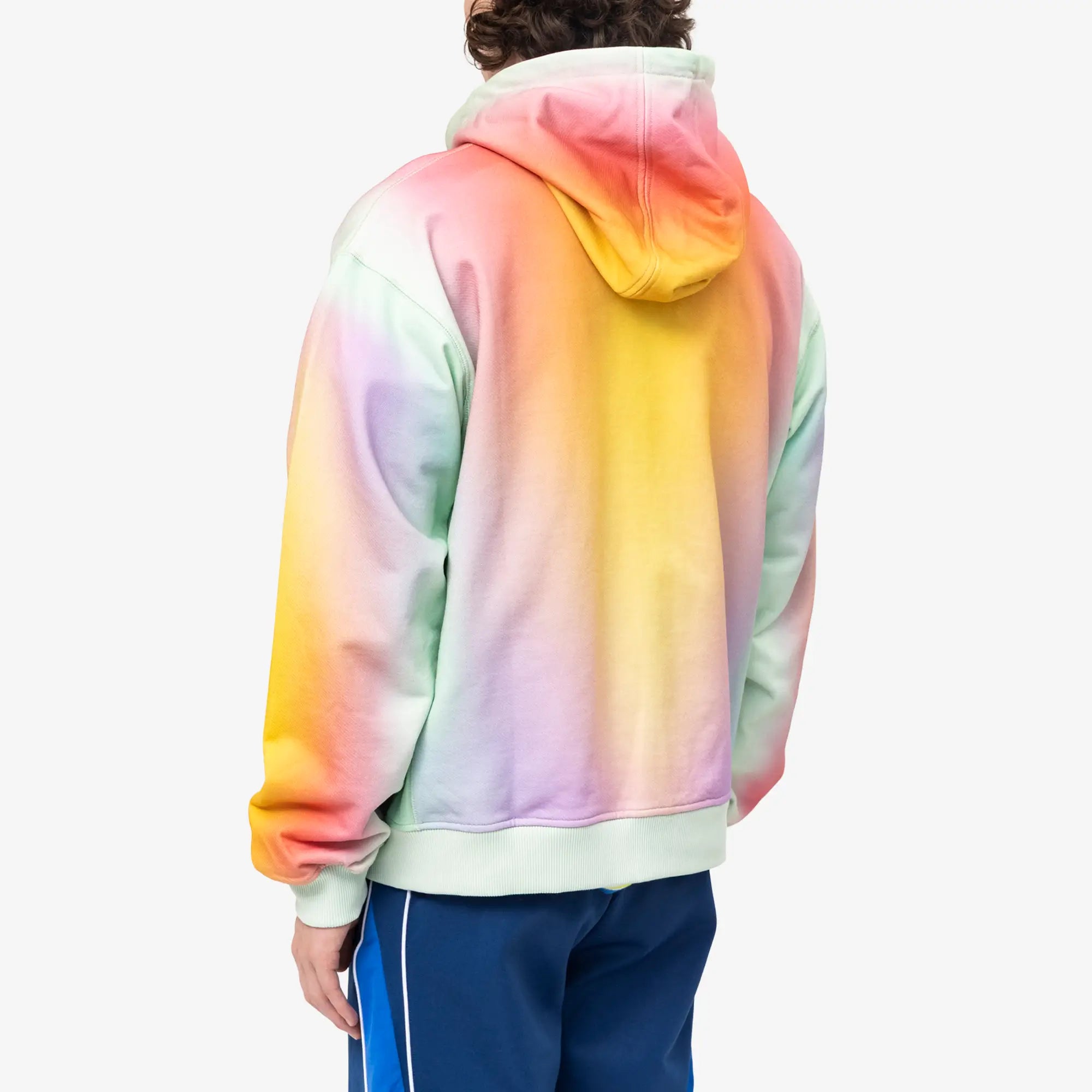 Glass Zip Hoody