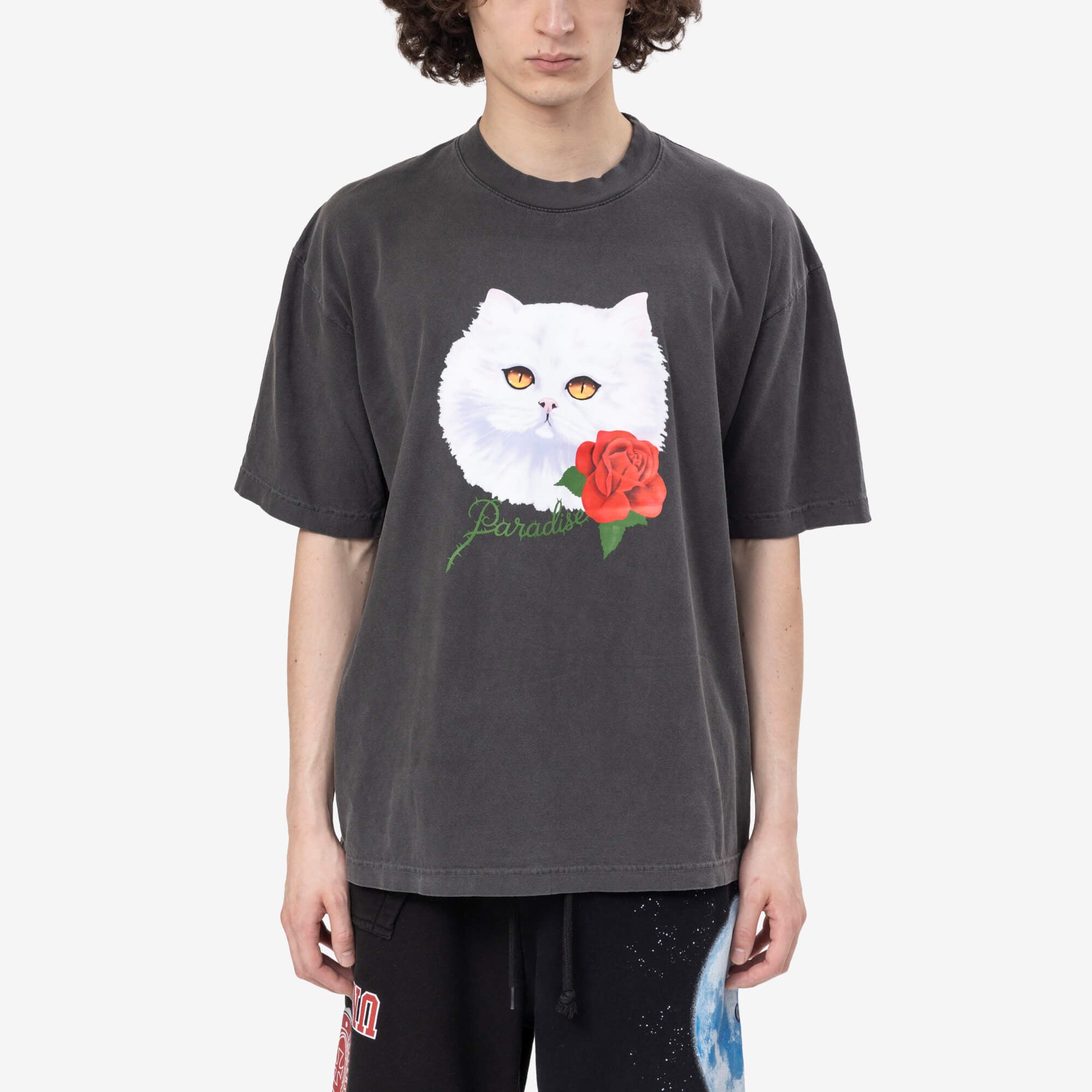Paradise Purradise T-Shirt Vintage Black - 1