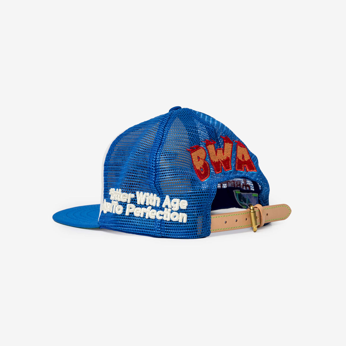 Ass Vintage Cap
