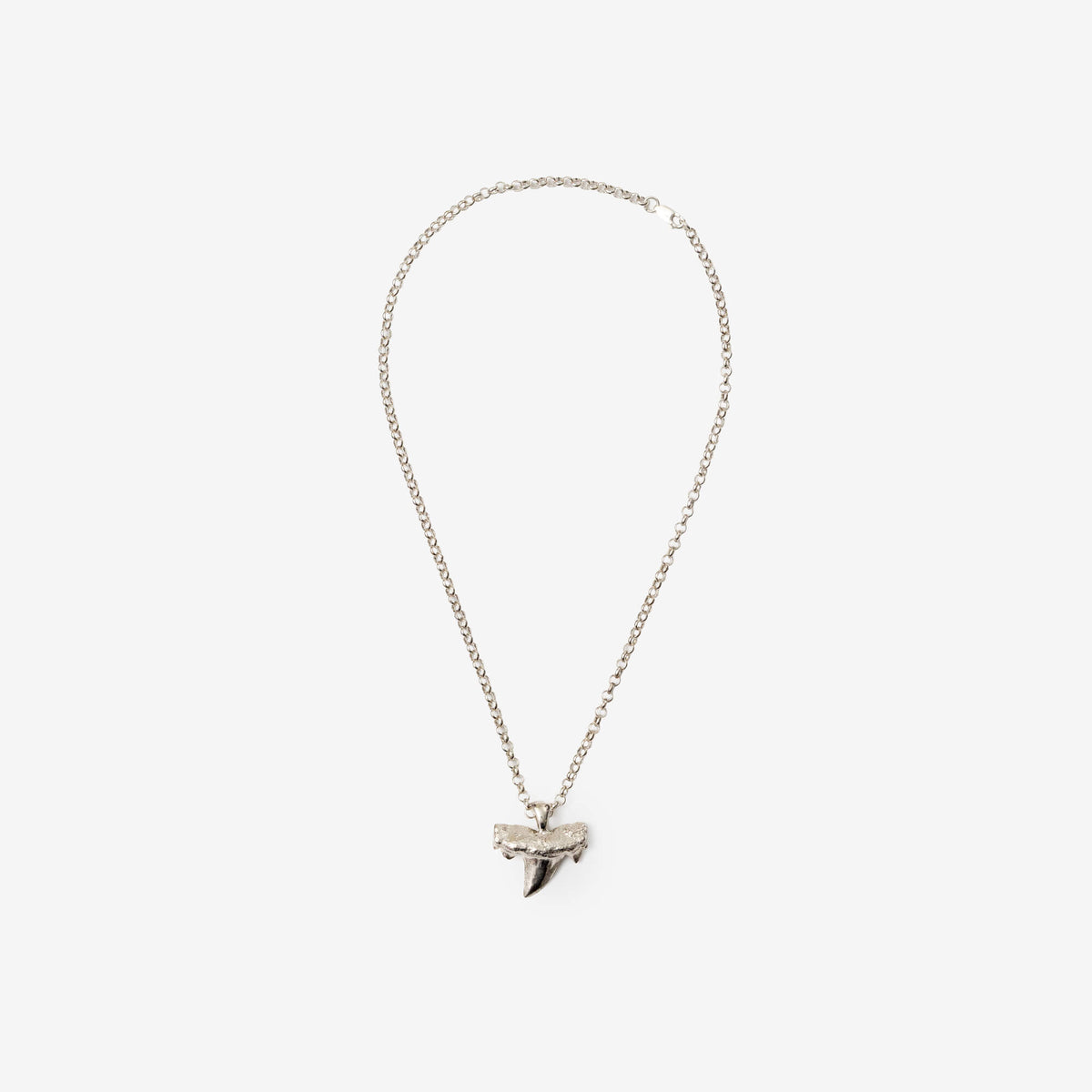Shark Tooth Necklace