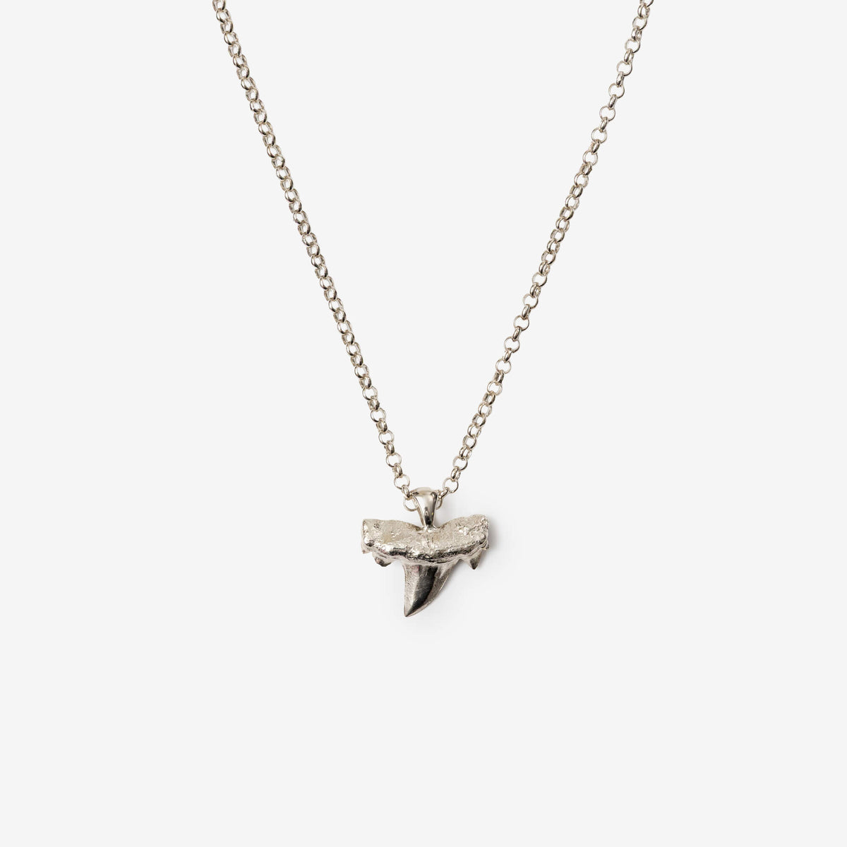 Shark Tooth Necklace