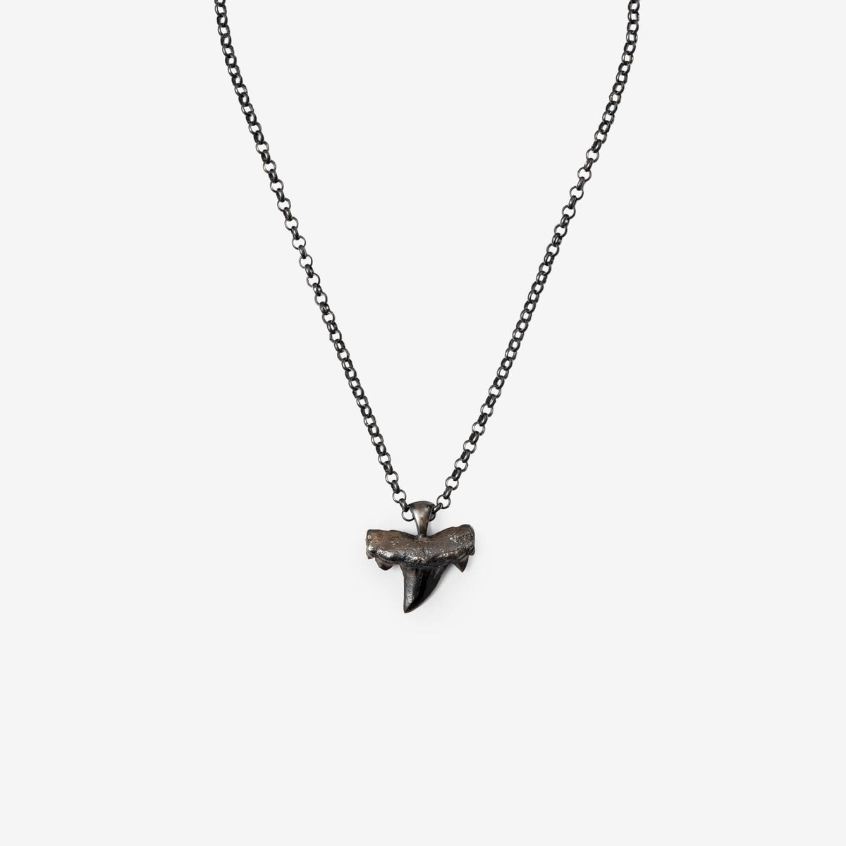 Shark Tooth Necklace