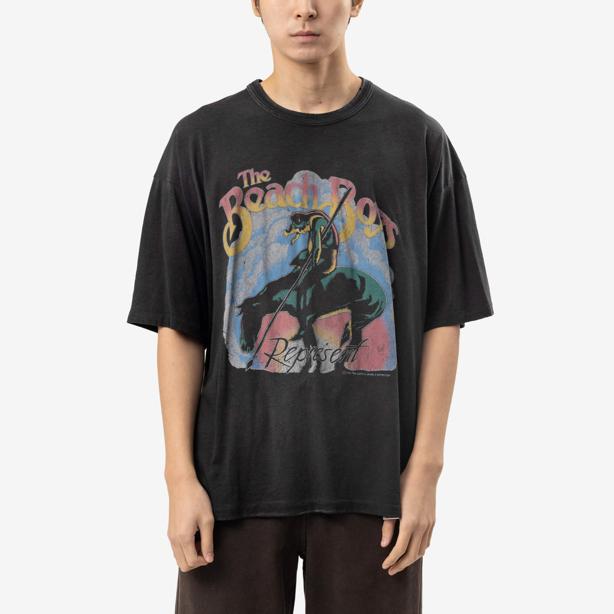 T-shirt Beach Boys Endless Summer