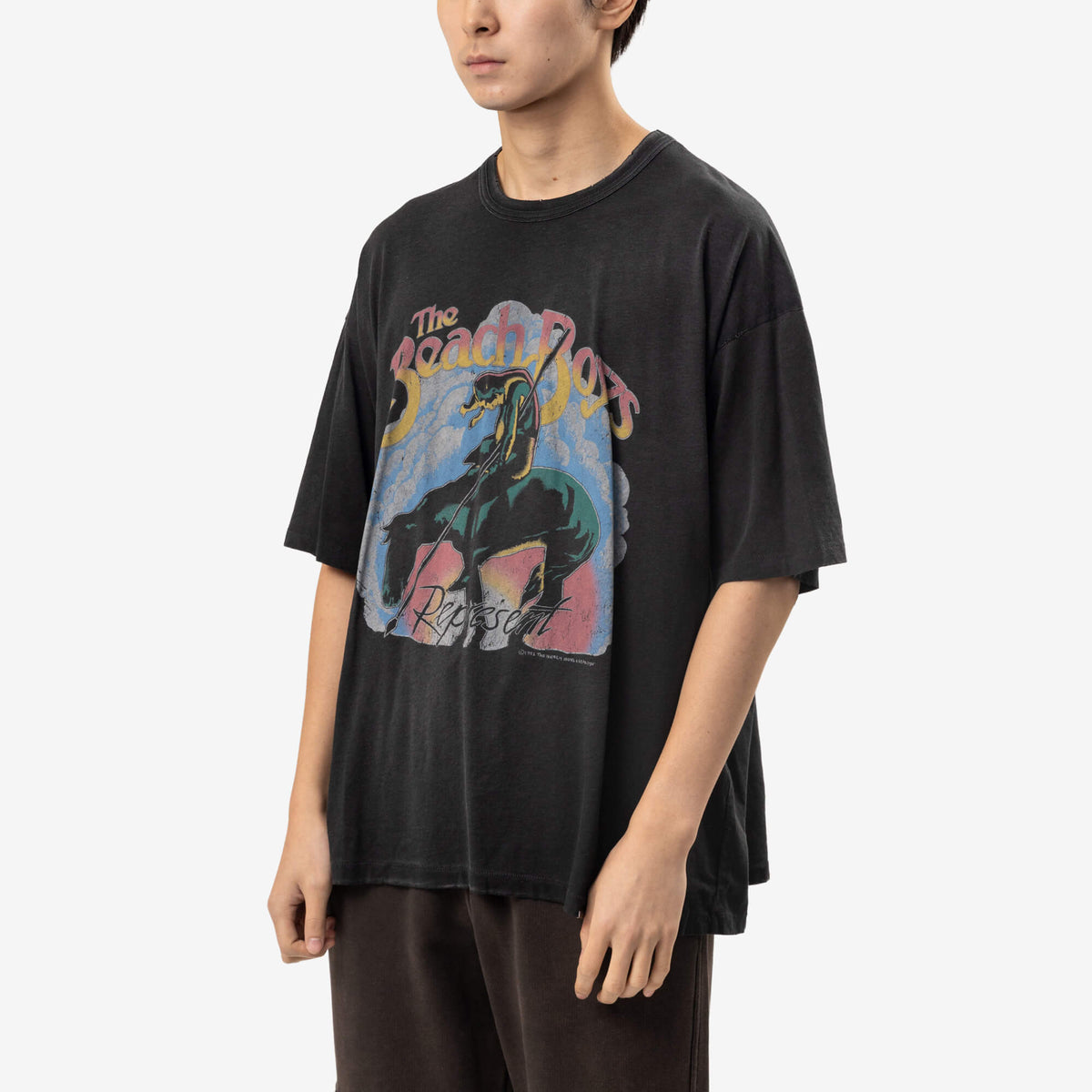 Beach Boys Endless Summer T-Shirt