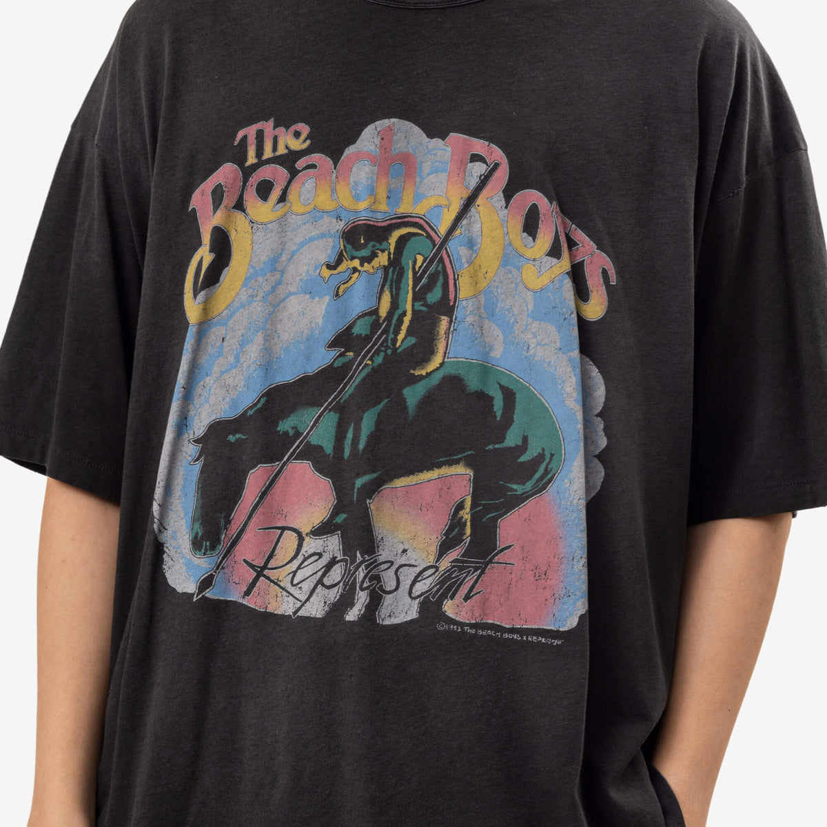Beach Boys Endless Summer T-Shirt