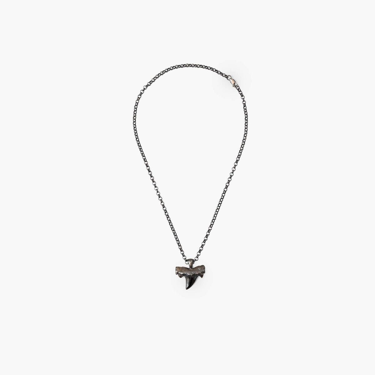 Ercole Studio Shark Tooth Necklace Black Coated Sterling Silver-1