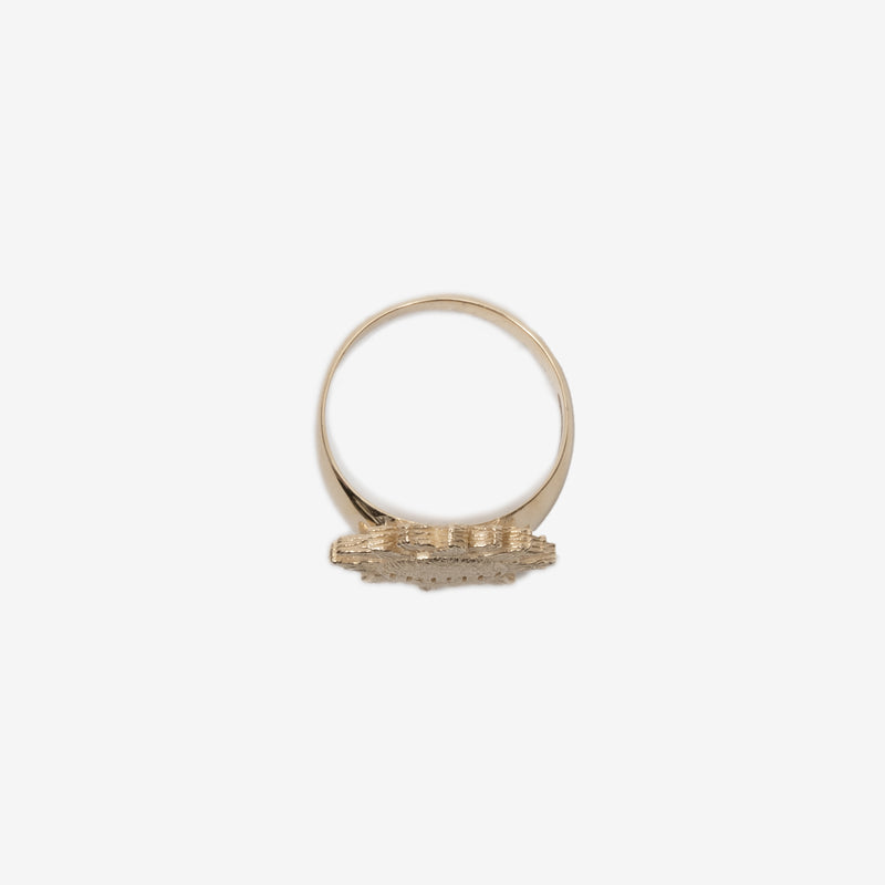 Truth is in the Sun Signet Ring
