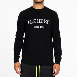 Iceberg Intarsia Sweater